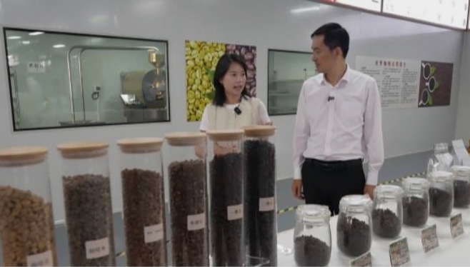 一線看發(fā)展?2025年經(jīng)濟(jì)良好開局 | 訪中共云縣委副書記、縣長段學(xué)能 突出重點 真抓實干 奮力開創(chuàng)云縣高質(zhì)量發(fā)展新局面