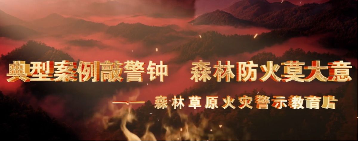 森林草原火災警示教育片