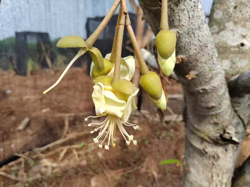 圖片3.jpg